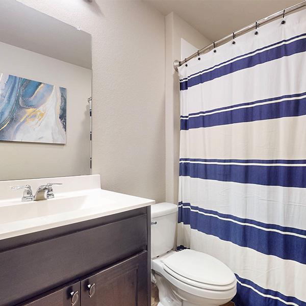 Bathroom Area